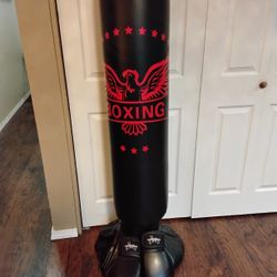 Boxing Gloves And Boxing Air Up Bag