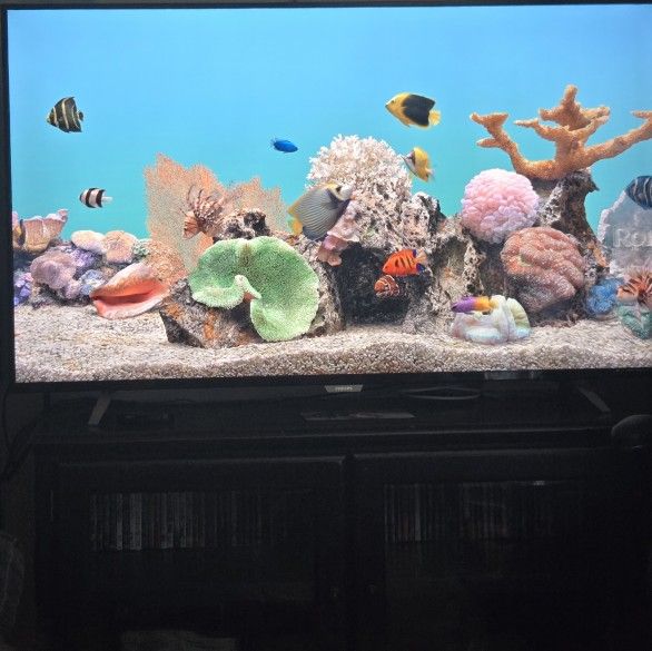 65' Inch  Phillips Smart TV 