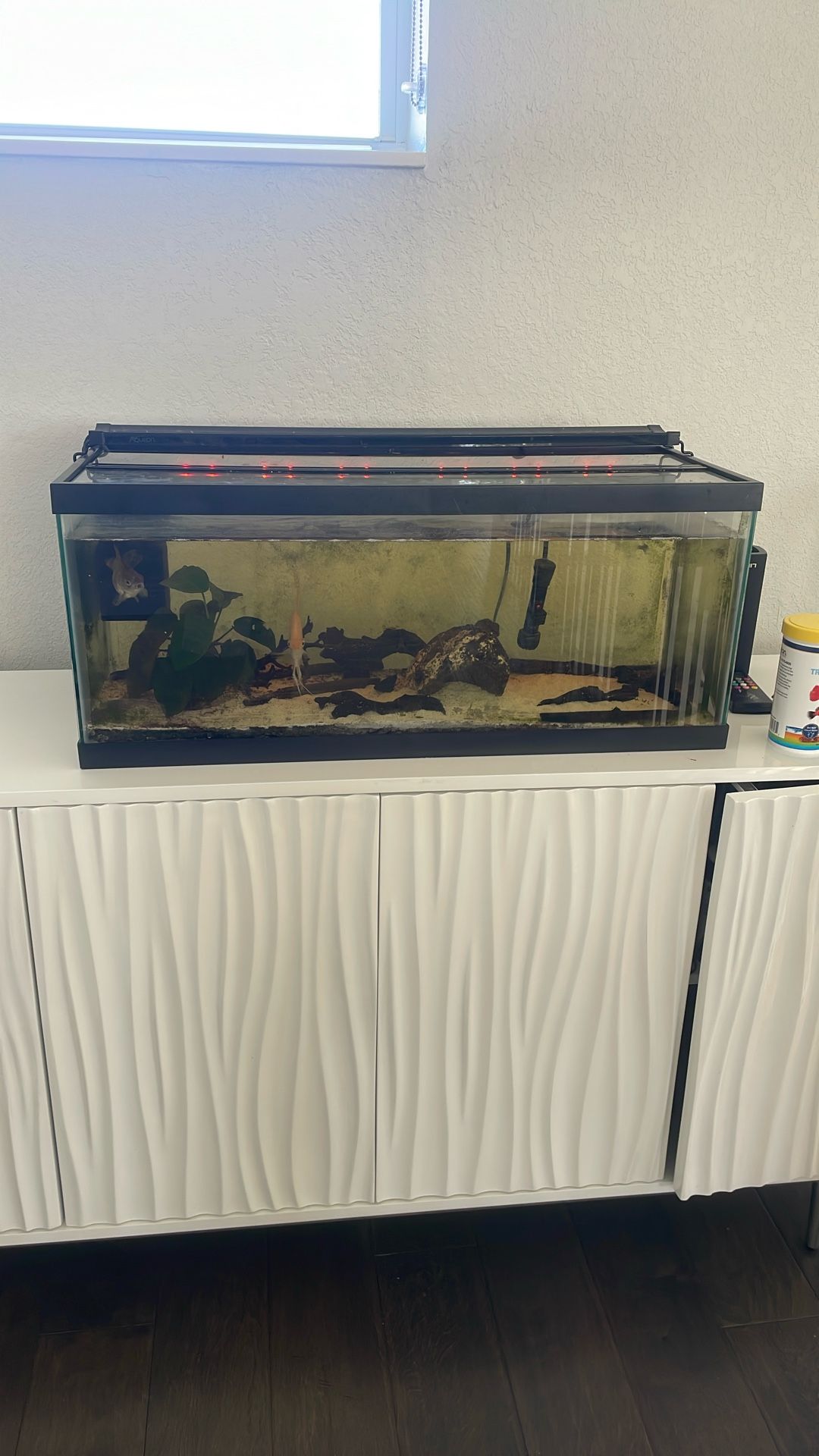 20 Gallon Fish Tank