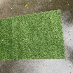 Doggy Grass Pee Pad 