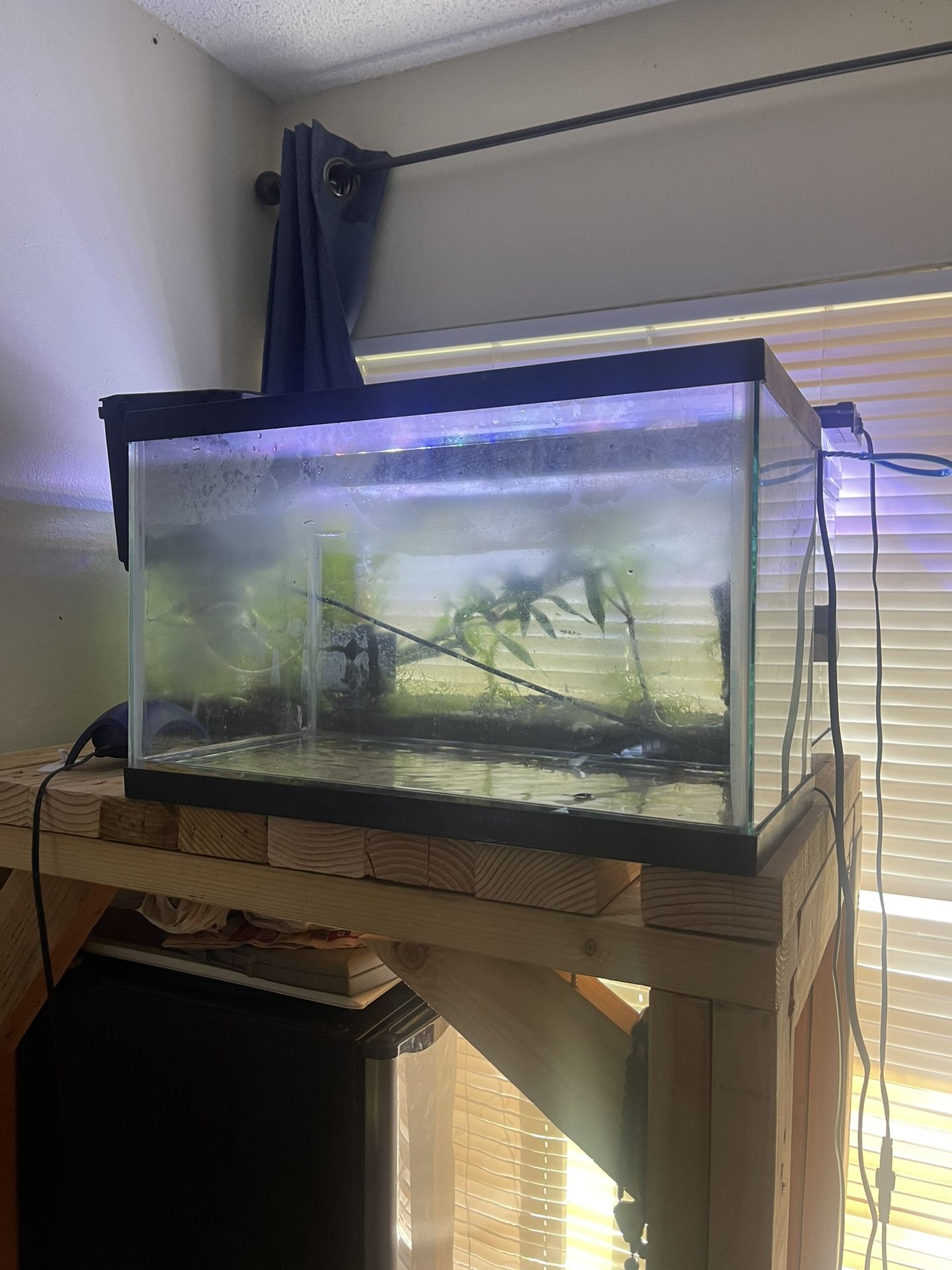 10 G Fish Tank