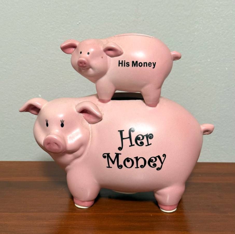 His Money Her Money Ceramic Piggy Bank Funny Engagement Christmas Gift For Couples