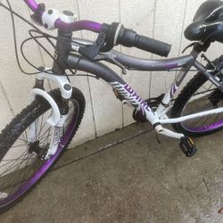 Mountain Bicycle 