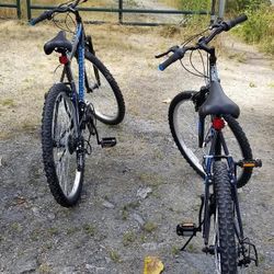 2 Mountain bikes
