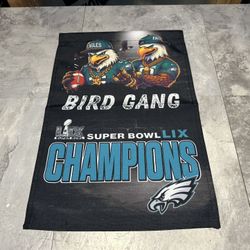 PHILADELPHIA Eagles Swoop Bird Gang 2 Sided 12 X 18  GARDEN FLAG /YARD Flag SB