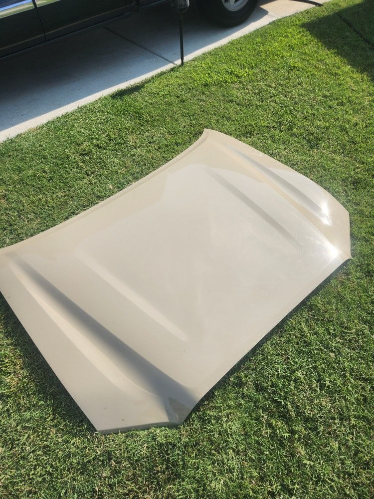 OEM 2019 Toyota Tacoma Hood