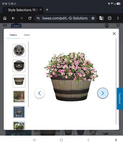 Whiskey barrel planters several available