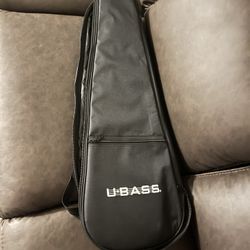 Instrument Carrying Case