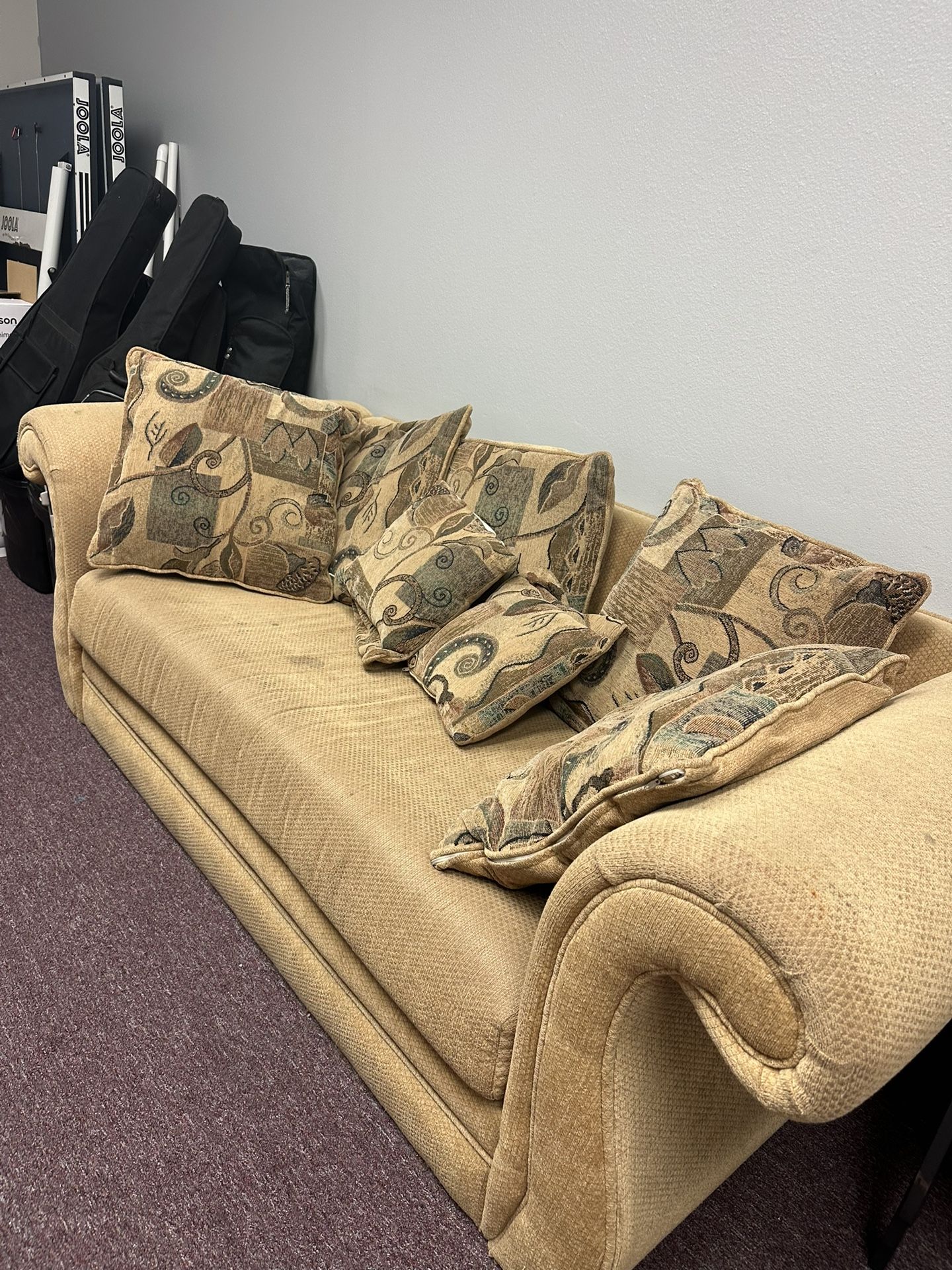 FREE! 2-piece Sofa Set