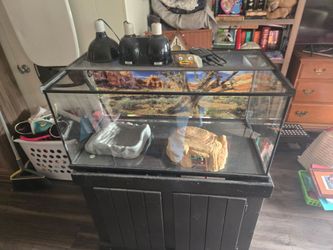 50 gallon terrarium/ aquarium with stand