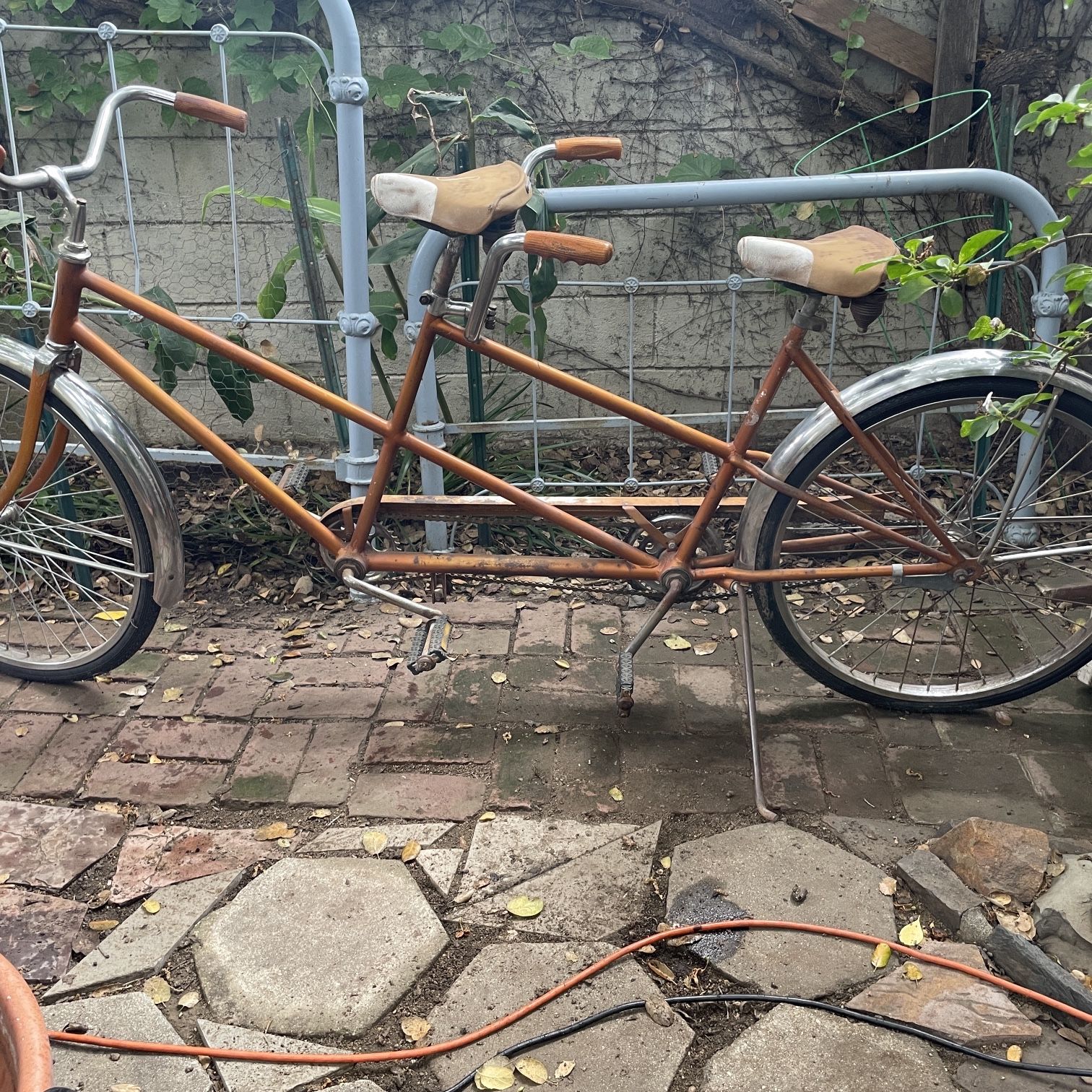 schwinn tango tandem bicycle SEAGULL BIKE  Seagull Powered 2015 Schwinn Tango Tandem For