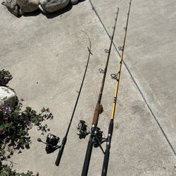 Fishing Rods That Aren’t Being Used 
