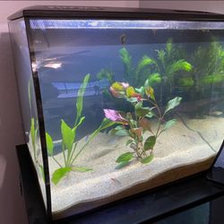 Fluval Flex 15 Gal Fish Tank With LED Lighting 