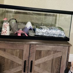 Spacious Glass Hamster Habitat 