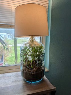 Terrarium Lamp