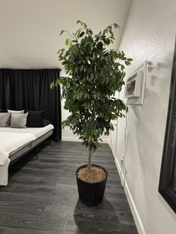 8’ Artificial Tree Very Lifelike!!