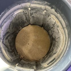 Live Sand For Reef Tank… Free! 
