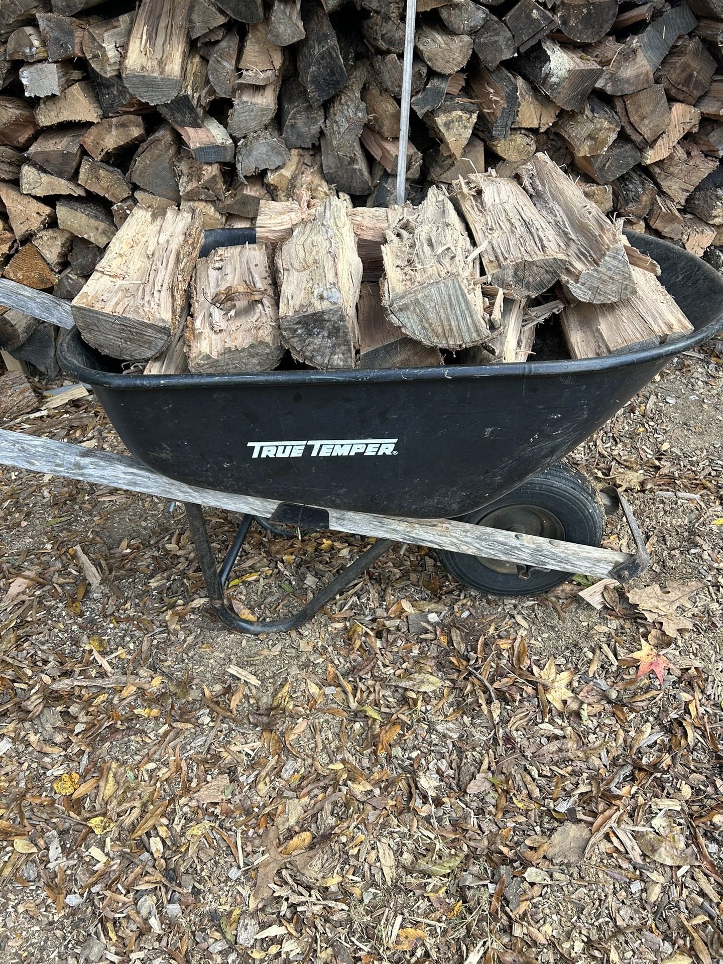 Seasoned Firewood 