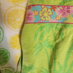 Beach Towels (2)
