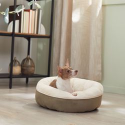 Two Pet Cushions/Bolsters