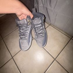 Jordan 12s Grey 