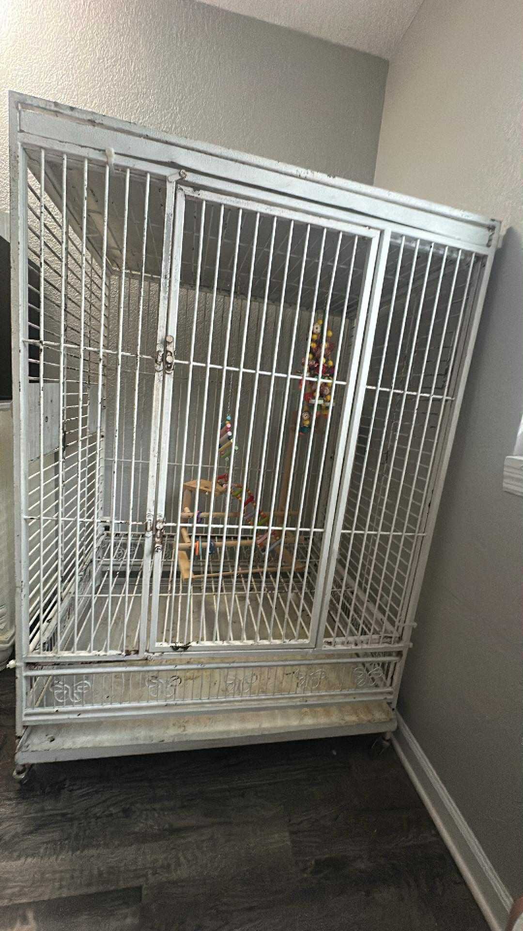 XL bird cage with toys