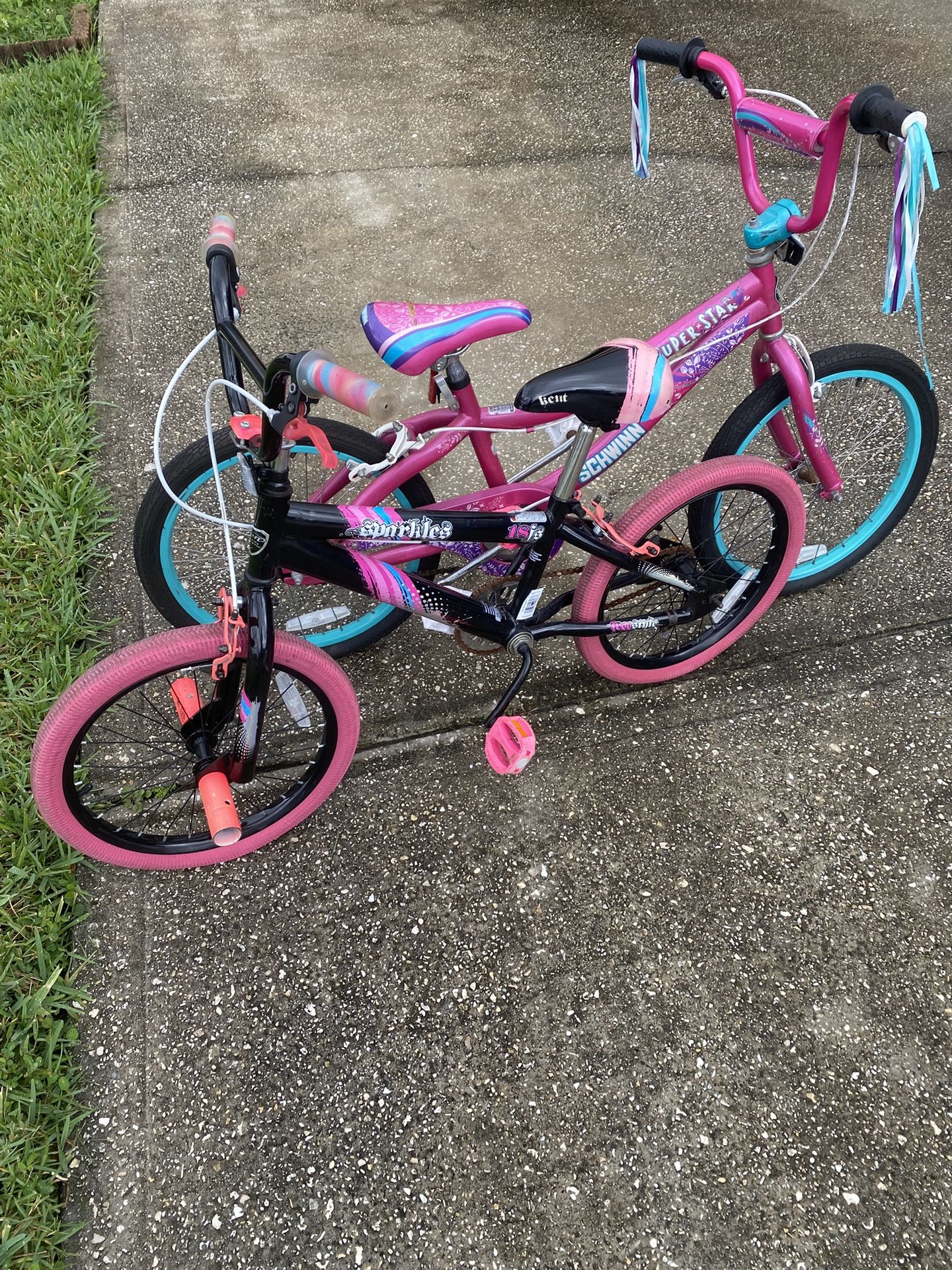 2 Girls Bike Rim 18 And 20