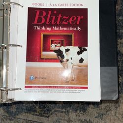 Miami Dade Book Thinking Mathematically