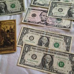 Coin Collector Starter Kit 