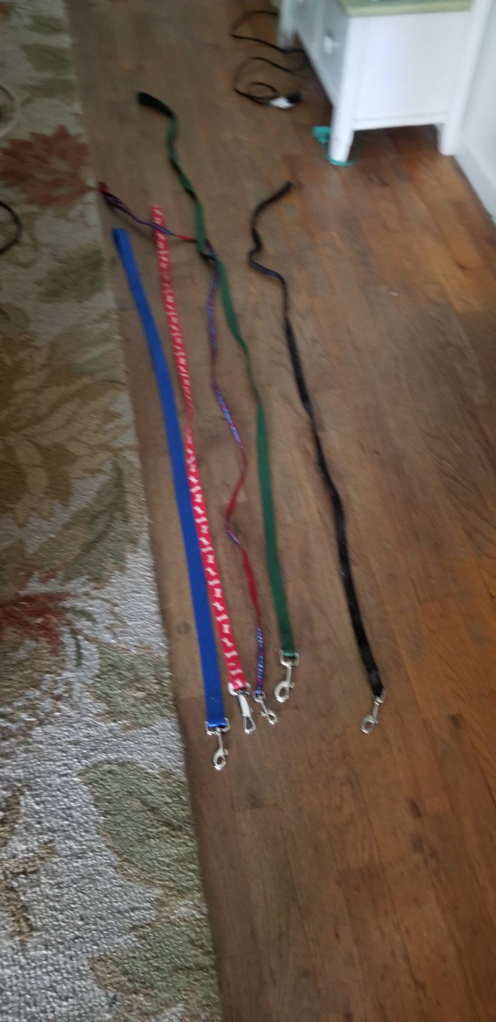Dog leashes collars and harnesses