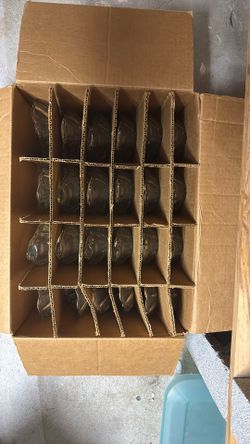 Set Of 24 Glass Dishes