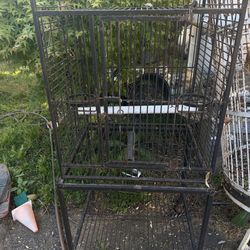 Bird cage