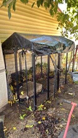 Dog kennel