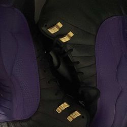 Air Jordan 12 Retro Purple 9.5