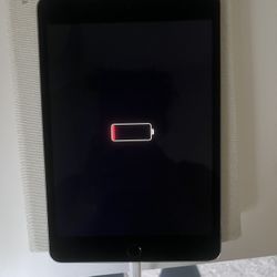 iPad Mini