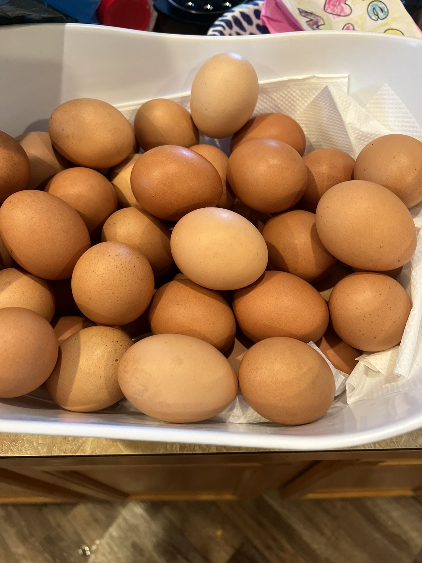 Fresh Eggs