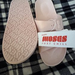 Freedom Moses slides 9/10