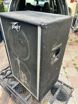 Peavey 15” vintage