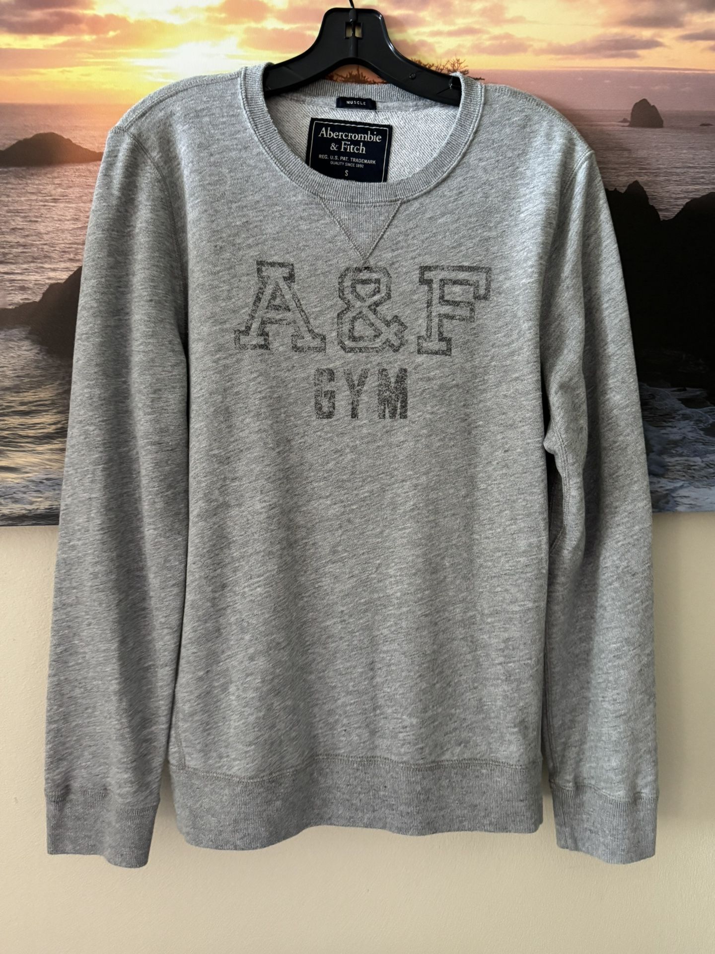 Abercrombie&Fitch: Men/ Sweatshirt/ Gray/S