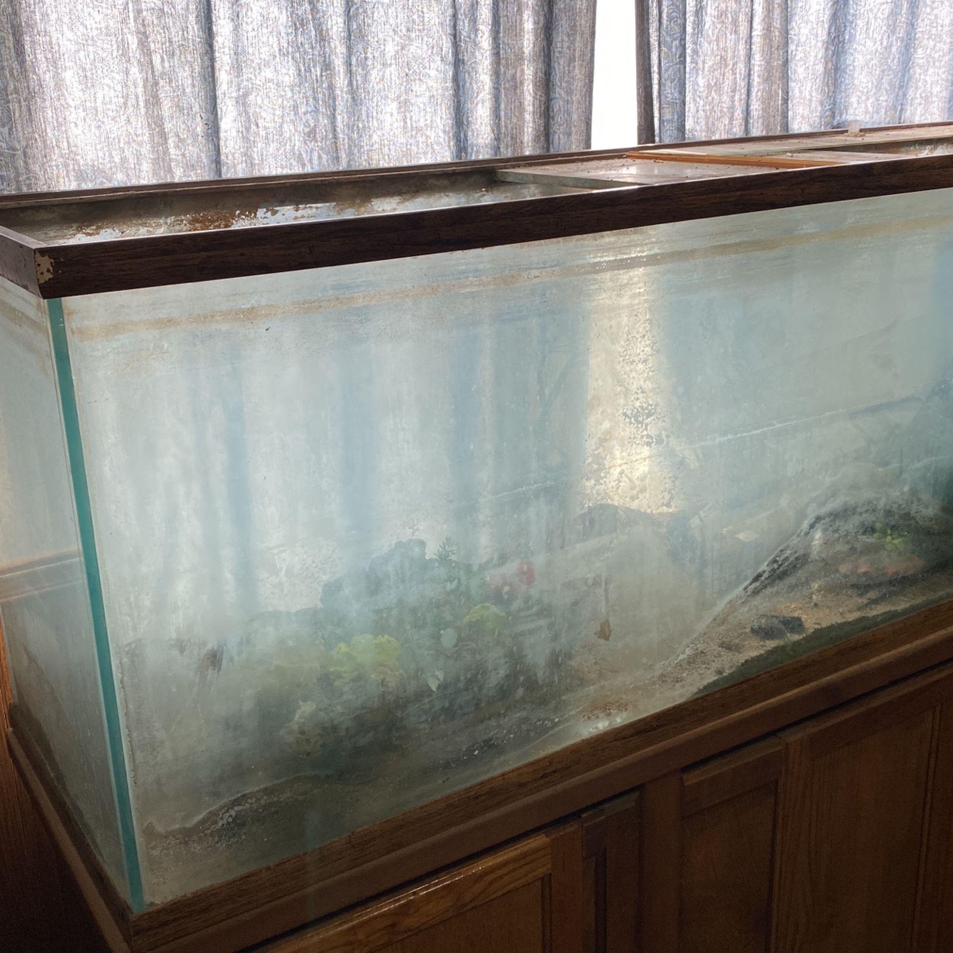 Used fish tanks clearance for sale on craigslist