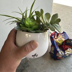 Faux Plant