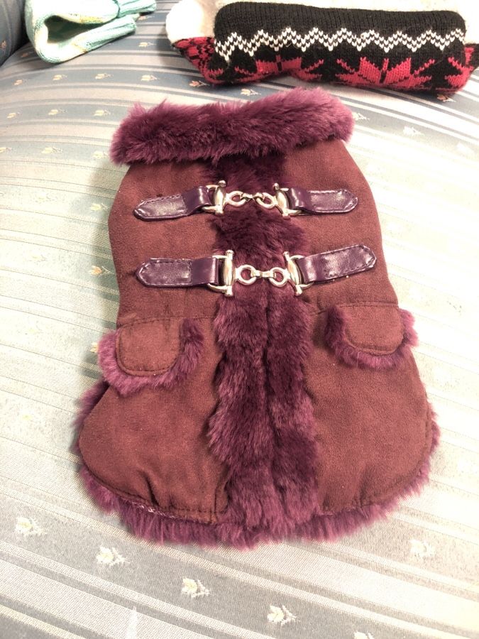 Purple dog coat