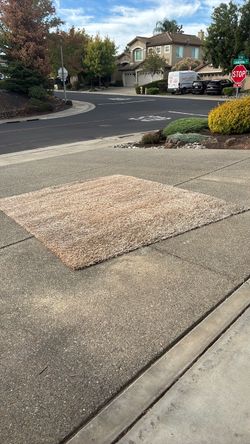 Large Area Rug