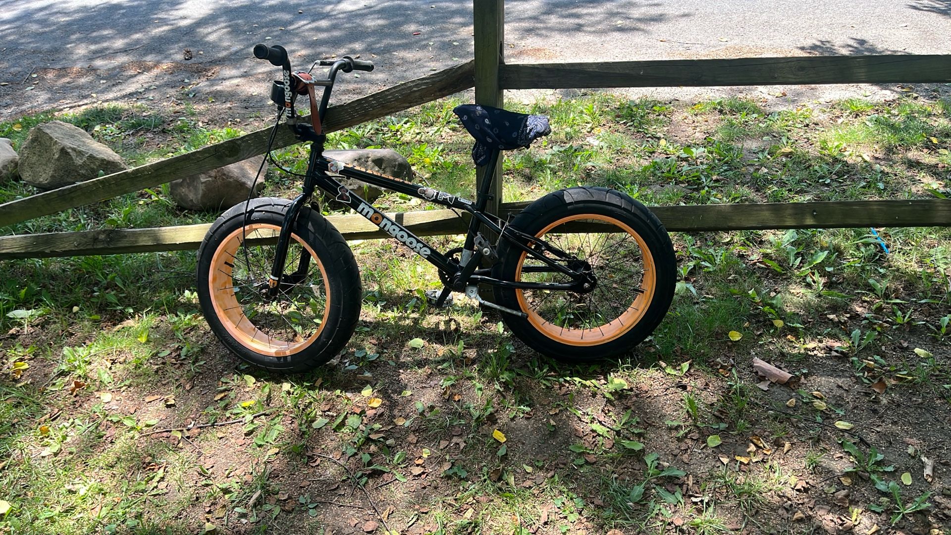 MONGOOSE menace fat tire bike 20 inch