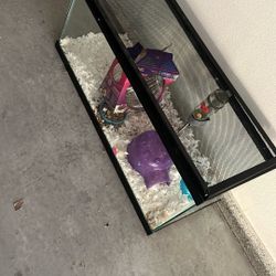 20 Gallon Hamster Cage 