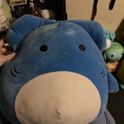 Squishmallow Hammerhead