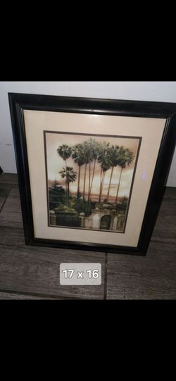 Palm tree picture