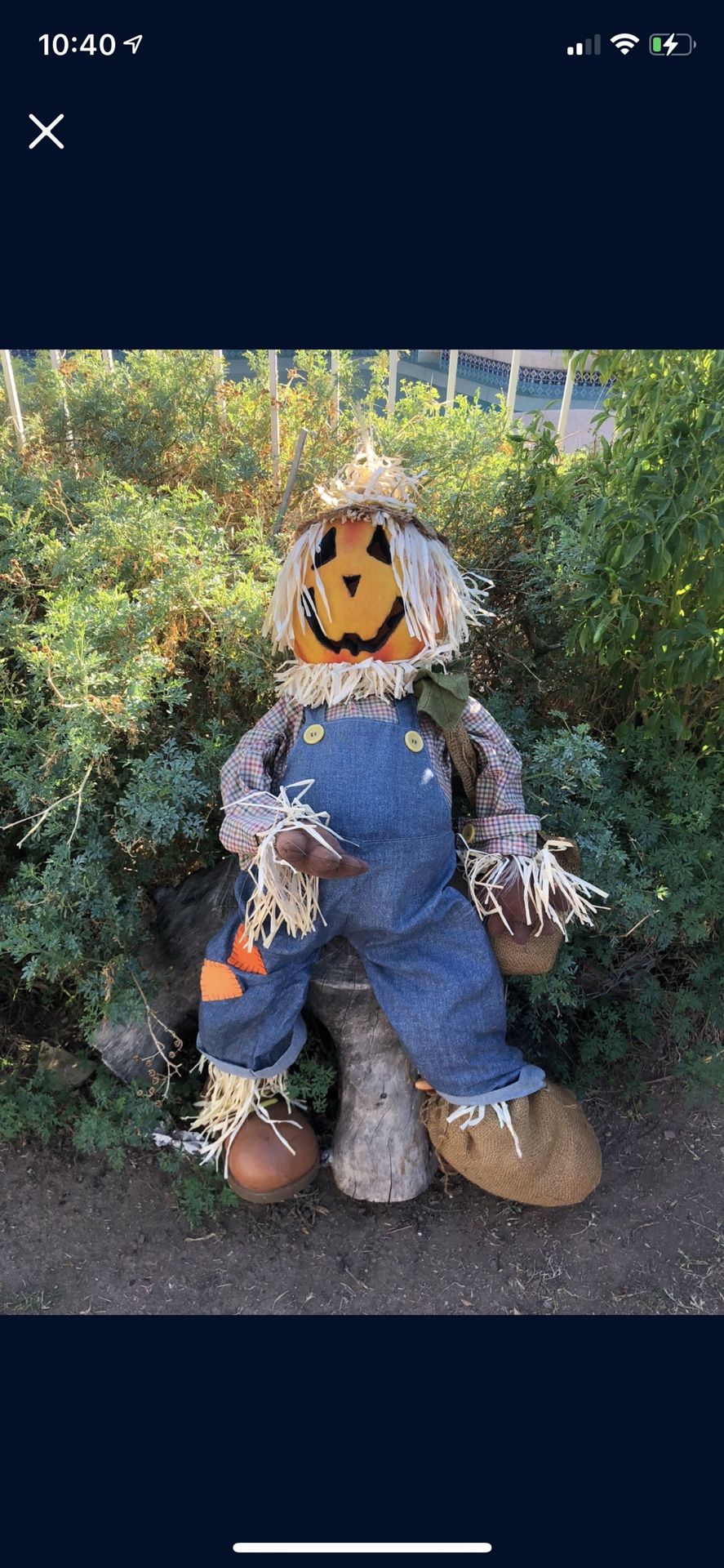 Halloween decoration scarecrow