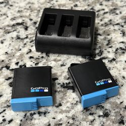 2 GoPro Enduro Batteries And Fast Charger