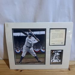 Babe Ruth The King of Swat 1992 Kelly Russell Used Good Condition $25 Meet Up In Irving @dfwgoods